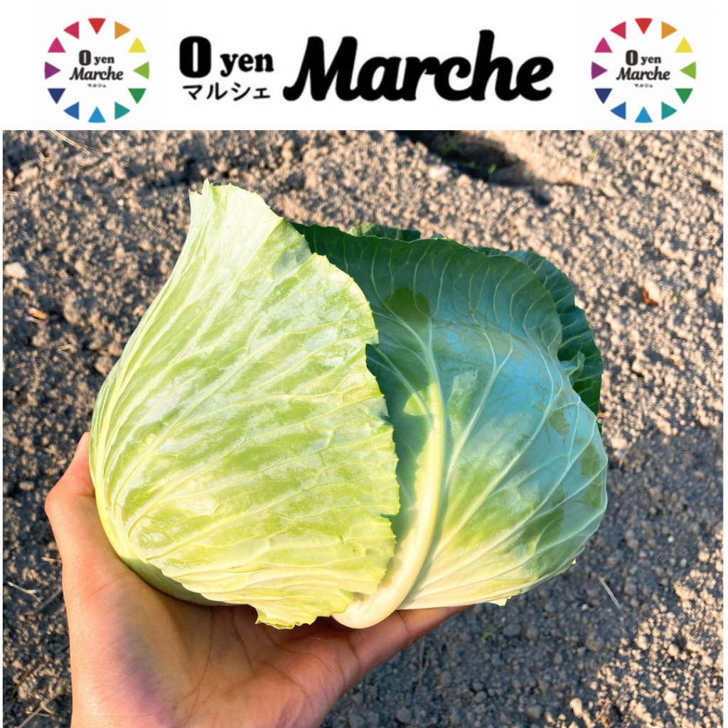 CYCLE DISH・CYCLE EATS・CYCLE FARMの画像